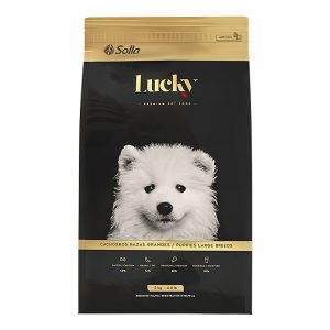 Lucky Cachorros Rg – 2kg